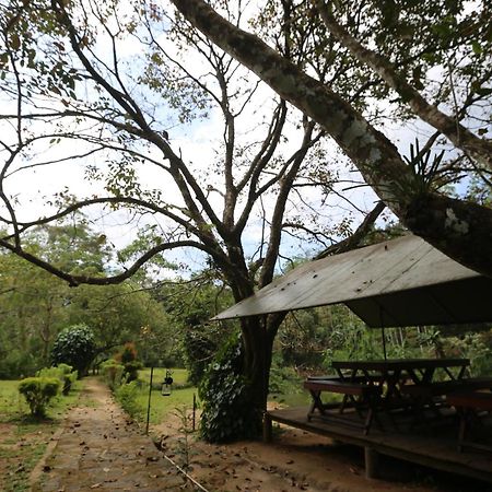 360 Rainforest デニヤヤ エクステリア 写真