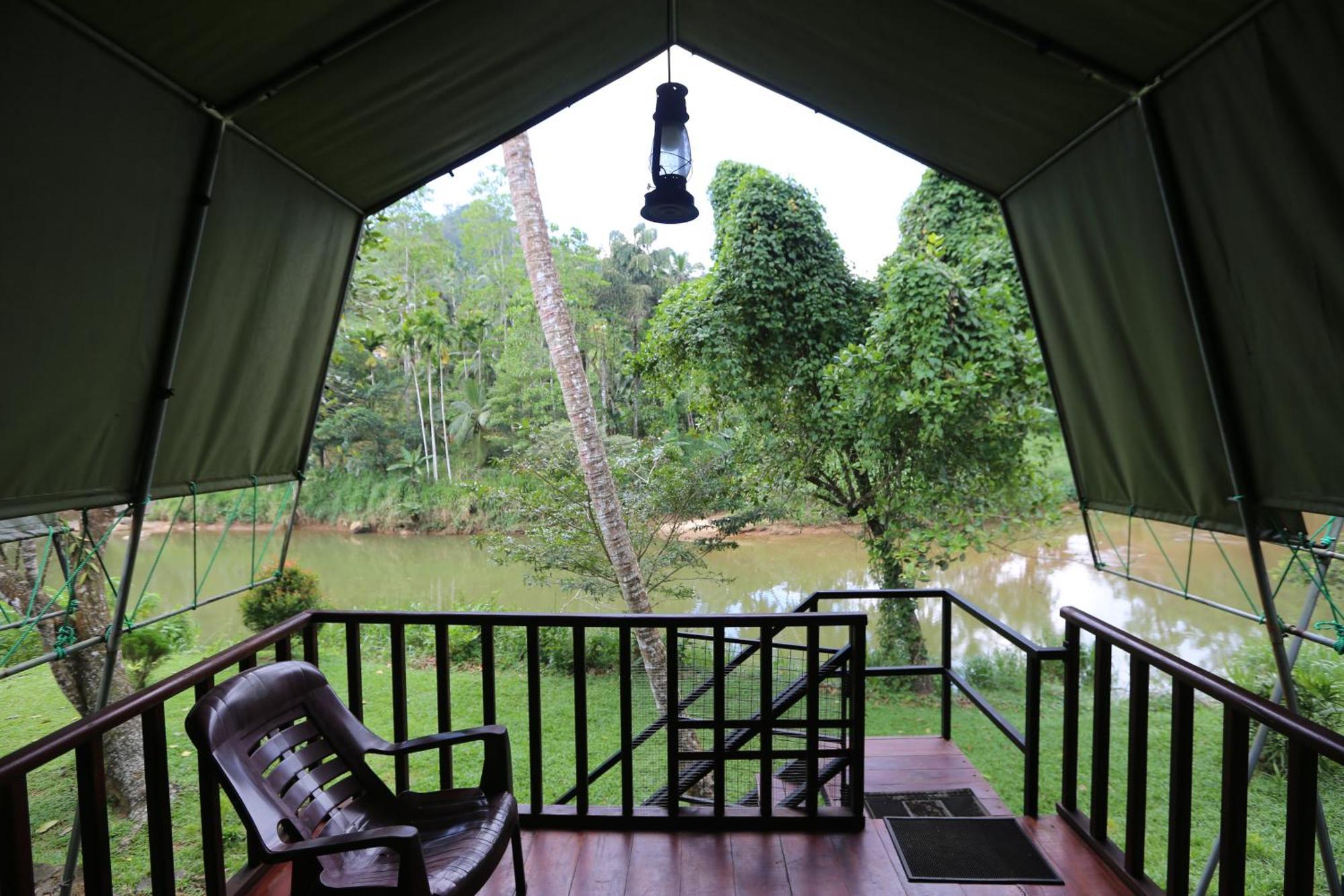 360 Rainforest デニヤヤ エクステリア 写真