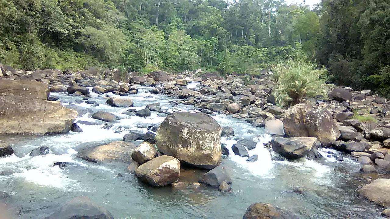 360 Rainforest デニヤヤ エクステリア 写真