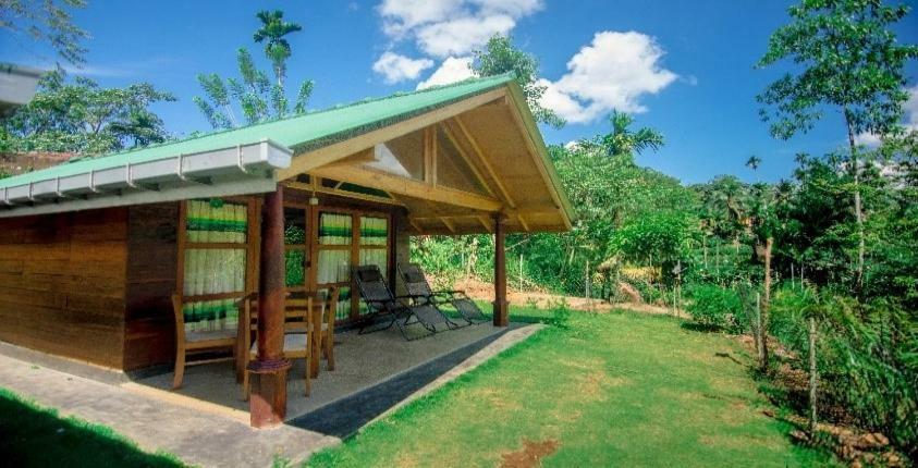 360 Rainforest デニヤヤ エクステリア 写真