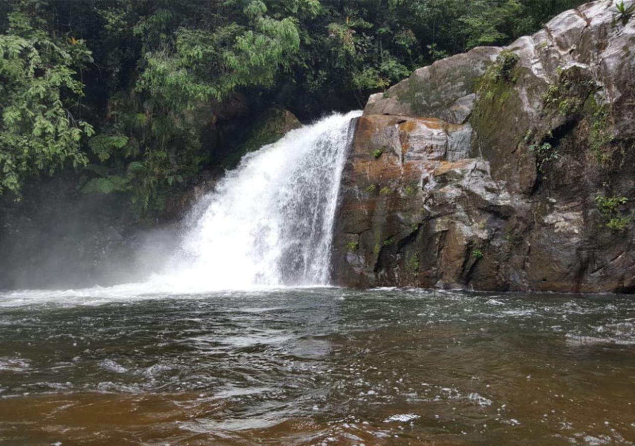 360 Rainforest デニヤヤ エクステリア 写真