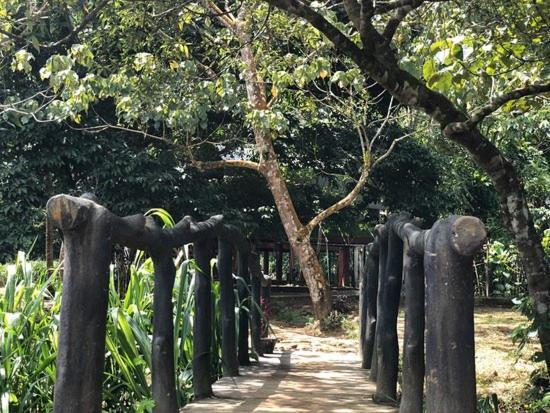 360 Rainforest デニヤヤ エクステリア 写真
