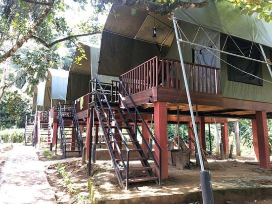 360 Rainforest デニヤヤ エクステリア 写真