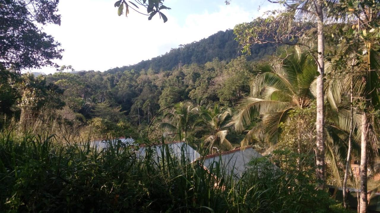 360 Rainforest デニヤヤ エクステリア 写真